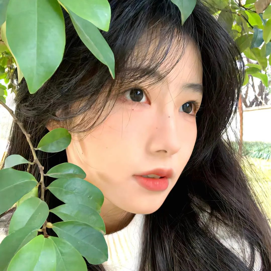六木道长